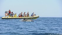 Dreamer Cave and Dolphins Boat Tour with Transport from Albufeira