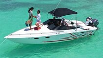 Saona island - Private Tour with a Luxury Speed Boat