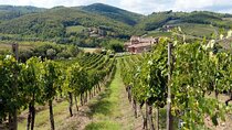 Chianti from Florence:PRIVATE Wine, Olive Oil Tasting in the Tuscan countryside
