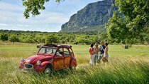 Private vintage car half-day wine tour in 2CV