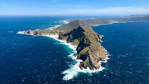 Magnificent Cape Peninsula Private Tour