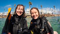 Half-Day Scuba Diving Tour - Discover Scuba Diving!