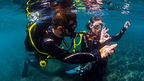 Scuba Diving Baptism Experience in Santa Cruz Tenerife