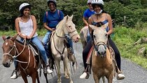 Volcano Horseback Ride, Mud Bath & Costa Rican Lunch Adventure