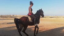  Horse Riding 1 Hour adventure and ATV Quad Bike Safari Tour - Sharm El Sheikh