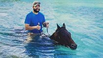 Private Horseback Riding, Swimming and Dunn's River Falls Tour