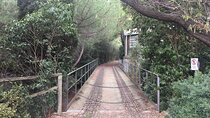 Photography route through the secret nature of Barcelona