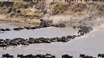 Private 14-Day Tanzania Wildebeest Migration Tour in Serengeti