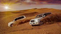 Thrilling Desert Adventure With BBQ Dinner & Explore UAE'S Capital