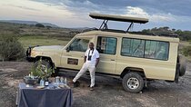 Private 13 Days Exposure Africa Royal Safari Package