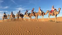 Private 2-day desert tour from Marrakech to Zagora