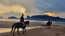 Sunset Horse Riding And BBQ Dinner Tour At Ao Nam Mao Beach Krabi