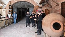 Kakheti Private Full Day Tour from Tbilisi