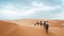 SAHARA DESERT: Private 3 Day Tour OUARZAZATE - ZAGORA - MHAMID Desert