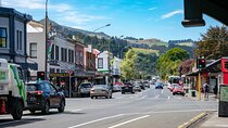 Explore Dunedin: Self-Guided Audio Tour Adventure