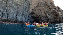 Guided Kayak Tour From Los Cristianos Beach Tenerife
