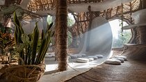 Private Tour Tulum Plus Museum Azulik & Sculpture Park