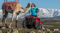 From Marrakech: Camel ride and Quad Biking Tour
