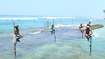 Stilt-Fishing Experience in Ahangama