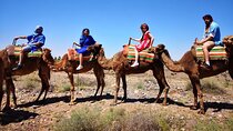 Atlas Mountains and Camel ride Day trip, from Marrakech