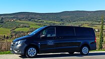 PRIVATE TRANSFER: from Pisa to Florence with private chauffeur