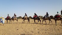 Zagora Private 2-Day Desert Tour from Marrakech with Camel Riding