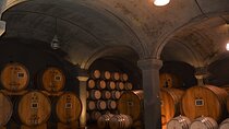Exclusive Brunello di Montalcino tour from Florence