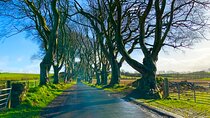 Private Day Trip to the Dark Hedges & Giants Causeway from Dublin