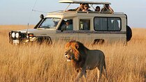 10 Days-Tanzania Group Safari and Beach Tours