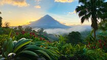Arenal Volcano 1 Day Tour