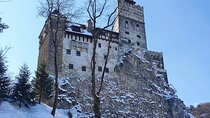 Bran Castle, Bear Sanctuary and Palinca from Brasov with Tickets