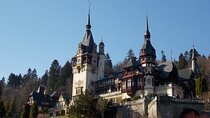 Bran and Peles Castles, Bear Sanctuary and Palinca Tasting with Tickets
