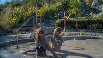 Te Puia & Hells Gate incl. Mud Spa Experience Private Tour