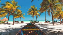 Full-Day Holbox Island Boat and Buggy Tour with Lunch