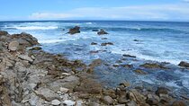  Small Group | 1 Day Tour Through Monterey From San Francisco