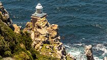 Small Group: Cape Peninsula & Table Mountain Full Day Tour.