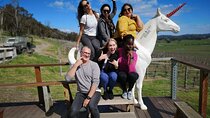 Yarra Valley Wineries Day Trip
