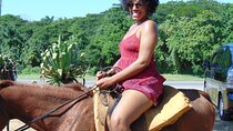 Horseback Riding Experience