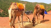 Camel Ride Day Trip in Atlas Mountains and Three Valleys Marrakech