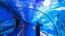 VIP Experience Dubai Aquarium & Underwater Zoo-As per Selection