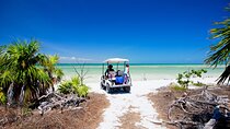 Holbox Tour with Ferry transportation and lunch included