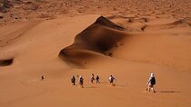 Trekking Walking, One Night Desert Camp, With Local Guide, SandBoarding.