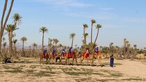 Things to do in Marrakech: Camel ride experience