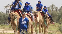Camel Ride at Sunset in The Palm Grove of Marrakech