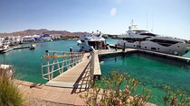 Take advantage of a half-day boat dive experience in Red sea of Aqaba.