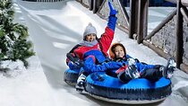 Ski Dubai Snow Park Ticket