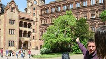 Guided tour of Heidelberg