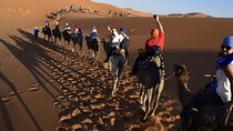 3 Days Desert Trips : Agadir to Merzouga to Marrakesh