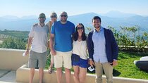 Premium Nemea Wine Tour from Athens, Nafplio or Nemea, with Oenologists 