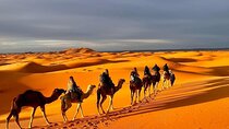  Overnight Sahara Tours luxury camp 